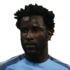 Wilfried Bony headshot
