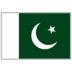 Pakistan logo