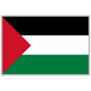 Palestine logo