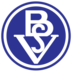 Bremer SV logo