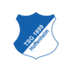 1899 Hoffenheim logo