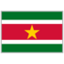 Suriname logo