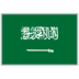 Saudi Arabia logo