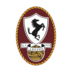 Arezzo logo