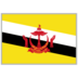 Brunei logo