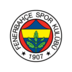 Fenerbahce logo