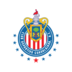 Guadalajara logo