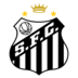 Santos logo