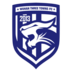 Wuhan Three Towns logo
