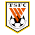 Shandong Taishan logo