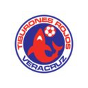 Veracruz logo