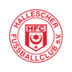 Hallescher FC logo