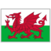 Wales logo