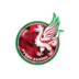 Rubin Kazan logo